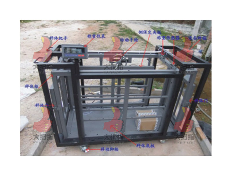 ��Ĵָ�N�i�y����